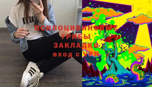 гидра Абаза