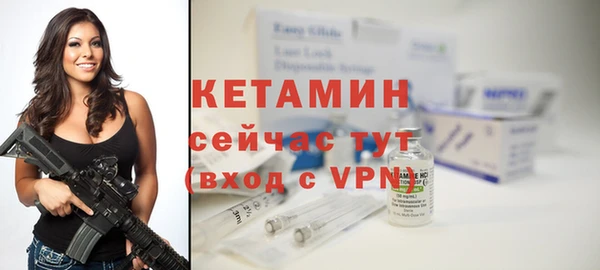 гидра Абаза